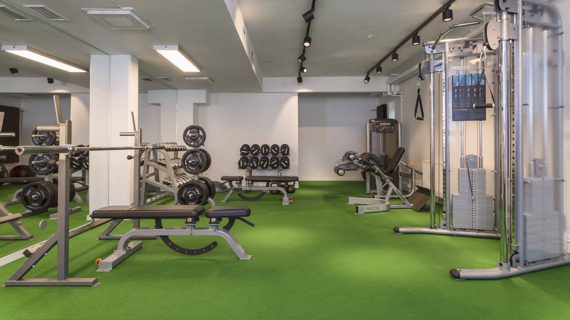 villa_loviks_gym