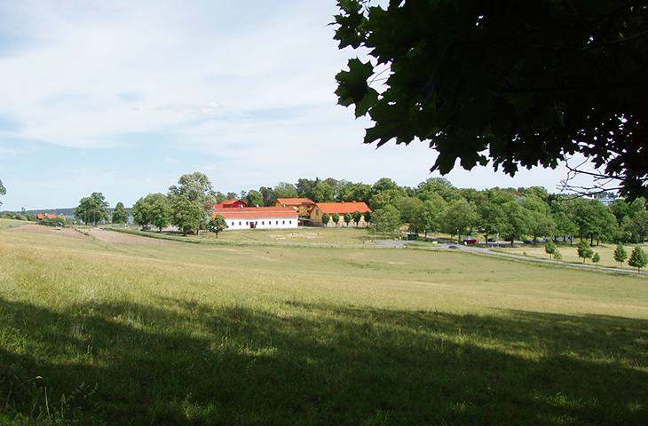 Elfviksgard